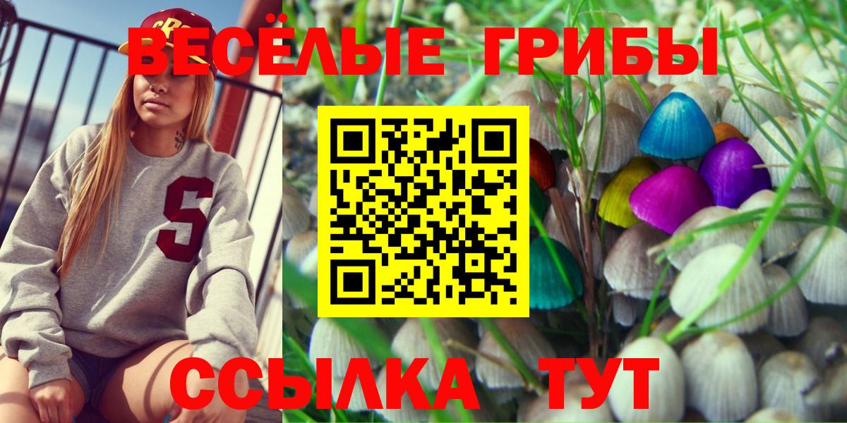 Псилоцибиновые грибы Psilocybe Лянтор