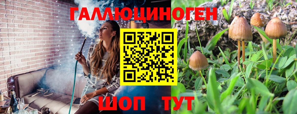 что такое наркотик  Вход с VPN  Лянтор  Псилоцибиновые грибы Psilocybine cubensis 